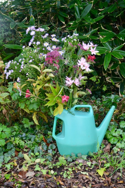 watering-can as vase