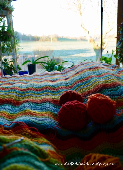 crochet, Woodland Cal, view
