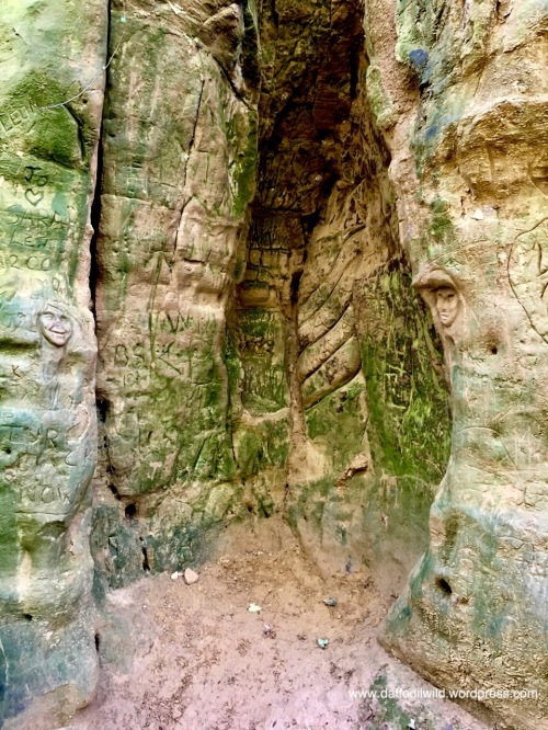 pixie portal, carving