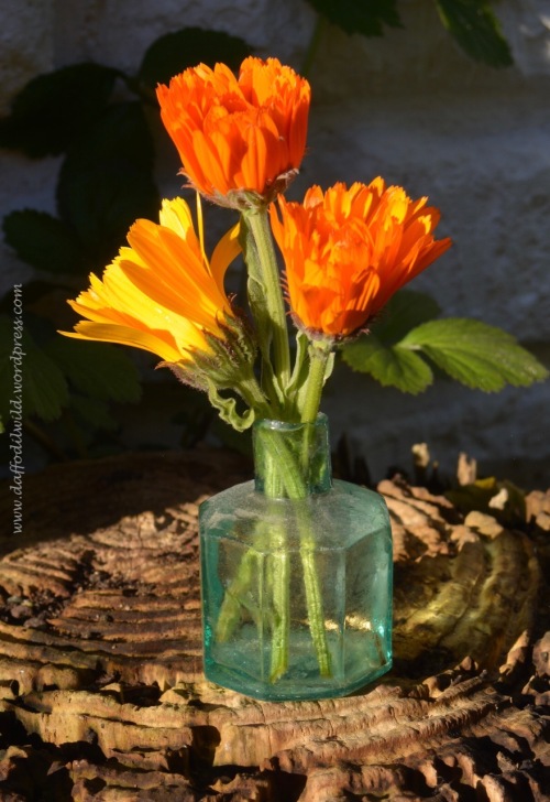 marigolds in ink pot