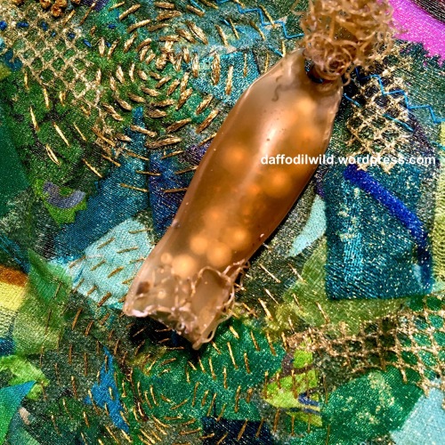 mermaids purse